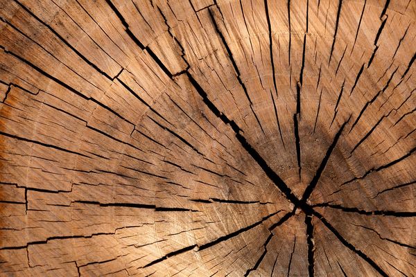 Praktyczne zastosowanie drewna klejonego w budownictwie